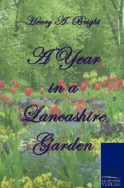 A Year In A Lancashire Garden