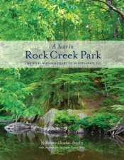 A Year In Rock Creek Park