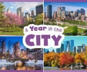 A Year In The City