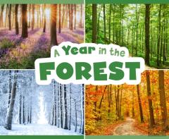 A Year In The Forest