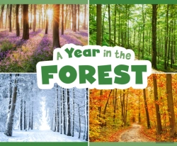 Bertrand.pt - A Year In The Forest