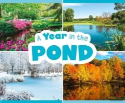 Bertrand.pt - A Year In The Pond