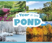 A Year In The Pond