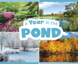 Bertrand.pt - A Year In The Pond