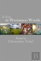 A Year In Weetamoo Woods