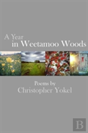 A Year In Weetamoo Woods