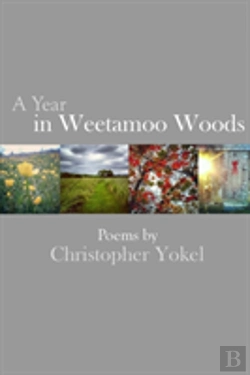 Bertrand.pt - A Year In Weetamoo Woods