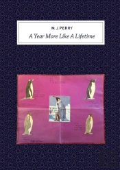 A Year More Like A Lifetime