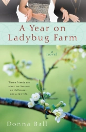 A Year On Ladybug Farm