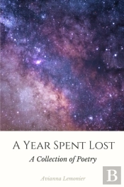 A Year Spent Lost