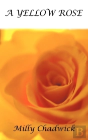 A Yellow Rose