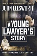 A Young Lawyer'S Story