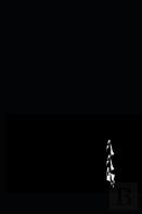 Aae