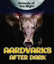 Aardvarks After Dark