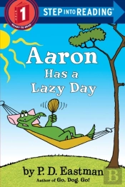Aaron Has A Lazy Day