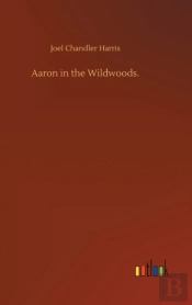Aaron In The Wildwoods.