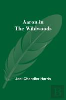 Aaron In The Wildwoods
