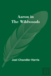 Aaron In The Wildwoods