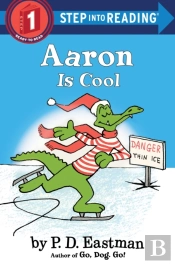 Aaron Is Cool