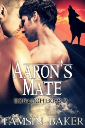 Aaron'S Mate - M/M Paranormal Romance