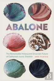 Abalone