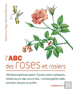 Bertrand.pt - Abc Des Roses