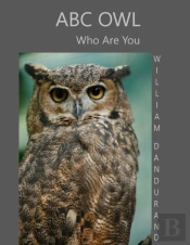 Abc Owl