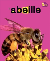 Abeille