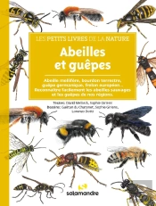 Abeilles Et Guêpes