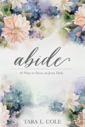 Abide: 40 Ways To Focus On Jesus Daily