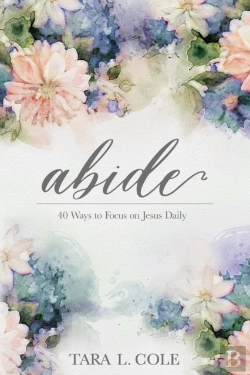 Bertrand.pt - Abide: 40 Ways To Focus On Jesus Daily