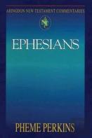 Abingdon New Testament Commentaries