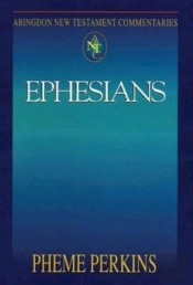 Abingdon New Testament Commentaries