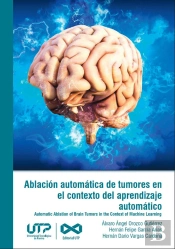 Ablación Automática De Tumores En El Contexto Del Aprendizaje Automático
