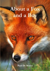 About A Fox And A Boy