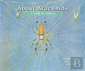 About Arachnids