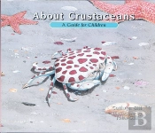 About Crustaceans