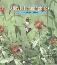 About Hummingbirds