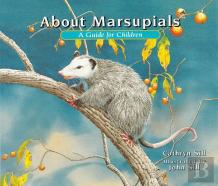 About Marsupials