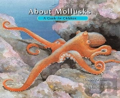 About Mollusks