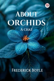 About Orchidsa Chat (Edition1)
