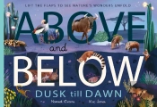 Above And Below: Dusk Till Dawn