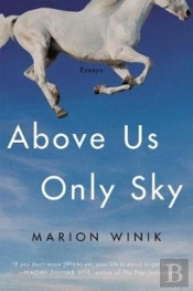 Above Us Only Sky