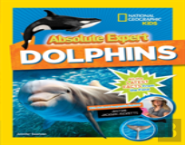 Absolute Expert: Dolphins