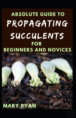 Bertrand.pt - Absolute Guide To Propagating Succulents For Beginners And Novices