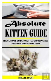 Absolute Kitten Guide