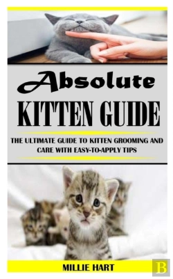Bertrand.pt - Absolute Kitten Guide