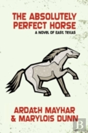 Absolutely Perfect Horse