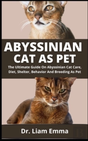 Abyssinian Cat As Pet