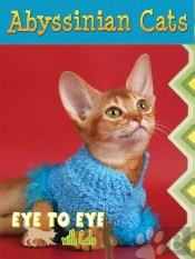 Abyssinian Cats